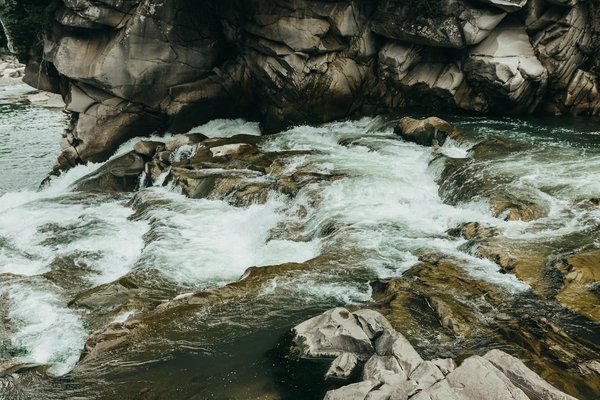 Quels sont les meilleurs circuits pour explorer les vignobles de la vallée de la Loire, France?