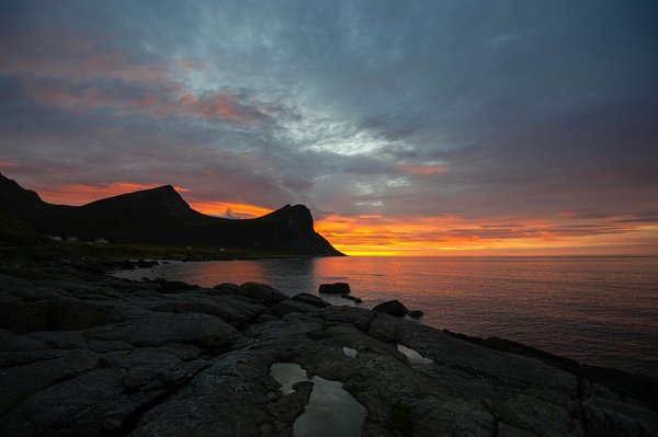 Où trouver les meilleures excursions pour observer les tortues marines à Galápagos?
